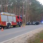 Fotka nr 1 z 2