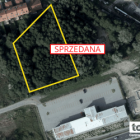 Fotka nr 4 z 5