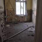 Fotka nr 5 z 14