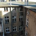 Fotka nr 2 z 7