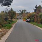 Fotka nr 5 z 6