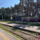 Fotka nr 5 z 10