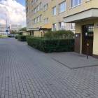 zdjęcie nr 8