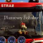 Fotka nr 1 z 3