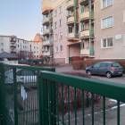 Fotka nr 4 z 5