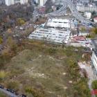 zdjęcie nr 8