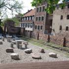 zdjęcie nr 9