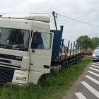 Fotka nr 5 z 7