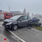 Fotka nr 5 z 7