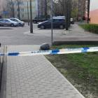 Fotka nr 5 z 7