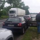 Fotka nr 2 z 4