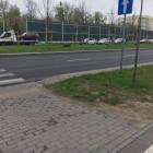 Fotka nr 4 z 8