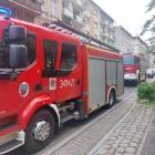 Fotka nr 3 z 10