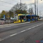 Fotka nr 2 z 7