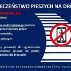 Fotka nr 4 z 5