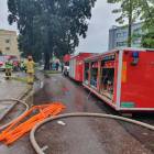 Fotka nr 5 z 7