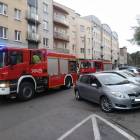 Fotka nr 2 z 4