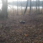 zdjęcie nr 8