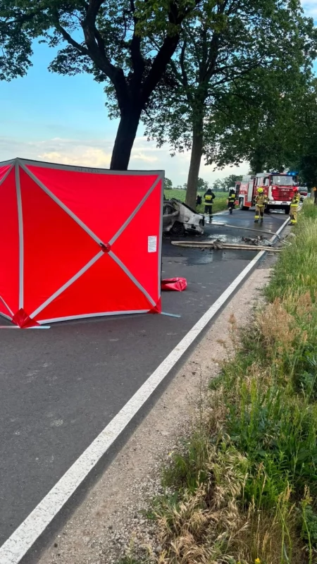 Tragedia na drodze pod Toruniem. Kierowca spłonął w samochodzie