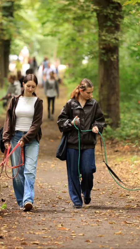 Akcja Wyprowadź Psa w Toruniu [FOTORELACJA]