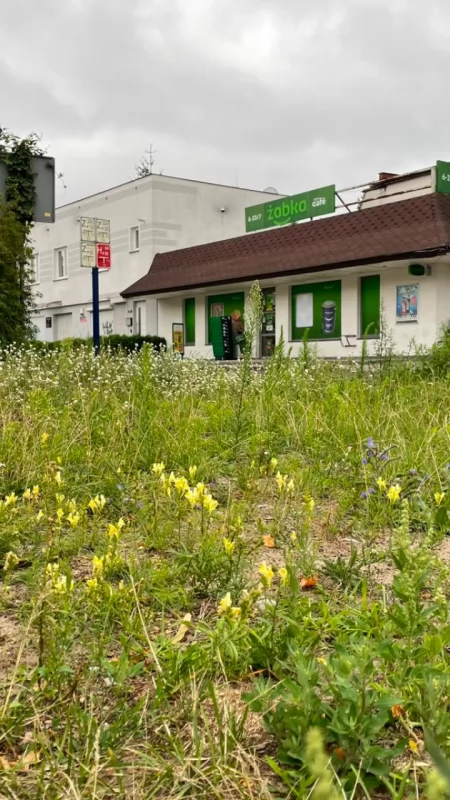 Wysoka wygrana w LOTTO w Toruniu. Los został wysłany w osiedlowym sklepie