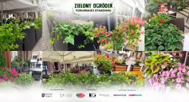 Finałowe głosowanie na Zielony Ogródek Toruńskiej Starówki