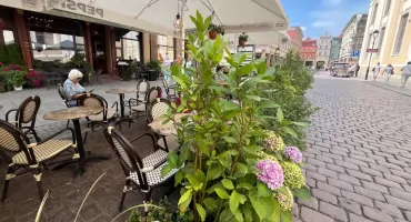Zielony Ogródek Toruńskiej Starówki - Grande Coffee 