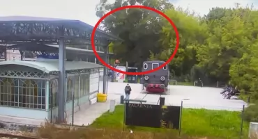 O krok od tragedii w Toruniu. Wielkie drzewo runęło przy przystanku autobusowym
