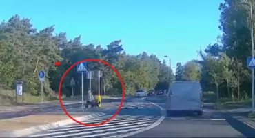 Pirat nie zauważył kobiety z psem na pasach w Toruniu. Nagranie trafiło do sieci