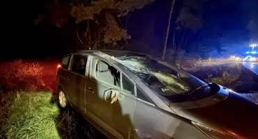 Chwile grozy na drodze do Torunia. Drzewo runęło na jadące auto