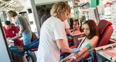 W Toruniu będzie można oddać krew w specjalnym ambulansie