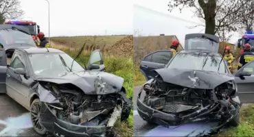 37-latek uderzył w drzewo na drodze pod Toruniem. Kierowca trafił do szpitala