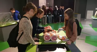 Czterodniowe obchody Święta Niepodległości w Toruniu. Przygotowano atrakcje dla całych rodzin