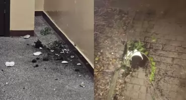 Niebezpieczna „zabawa” w Toruniu. Przez okna zrzucono doniczki z kwiatami