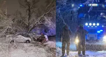 Dotkliwe skutki ataku zimy w Toruniu. Drzewa nie wytrzymywały naporu śniegu