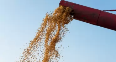 Automatyzacja w gospodarstwach i zakładach przetwórczych - kiedy warto postawić na podajnik ślimakowy?