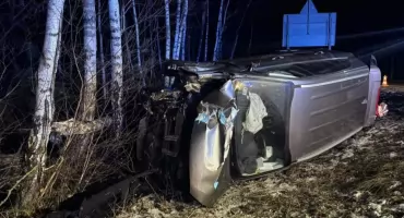 Kierowca uderzył w drzewo pod Toruniem. Dwie osoby trafiły do szpitala