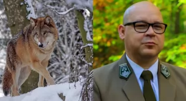 W Domu Kultury w Górsku odbędzie się spotkanie „Czy wilki jedzą ludzi?”