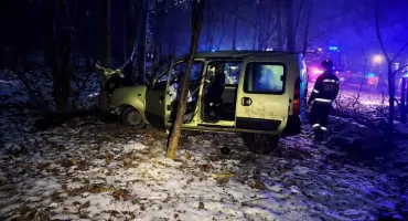 Kierowca uderzył w drzewo pod Toruniem. Na drogę wbiegł dzik