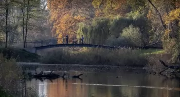 Seria pożarów w Toruniu. W Parku Miejskim wprowadzono zakaz