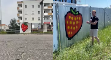 Toruń żyje nową tajemnicą. Zagadkowe truskawki są już w całym mieście