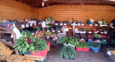 Jest decyzja ws. znanego warzywniaka w Toruniu. Znamy nowe ustalenia