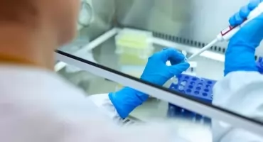 Nowe ognisko salmonelli w Toruniu. Dwie osoby trafiły do szpitala