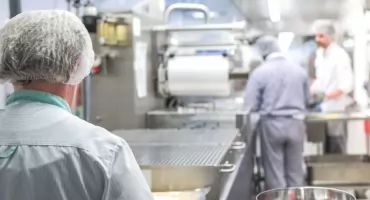Rośnie liczba zatruć salmonellą w Toruniu. Znamy wyniki kontroli w firmie cateringowej