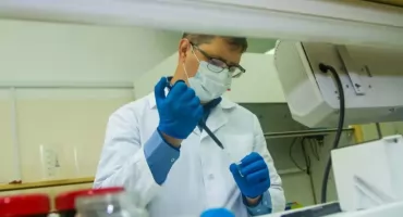 Masowe zatrucie salmonellą w Toruniu. Sanepid wykrył źródło bakterii