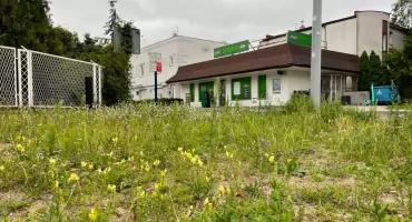 Wysoka wygrana w LOTTO w Toruniu. Los został wysłany w osiedlowym sklepie